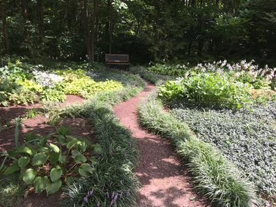 pathway of bench with plants on either side of pathway different angle