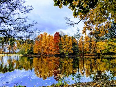 fall foliage trees in background and lake reflecting 